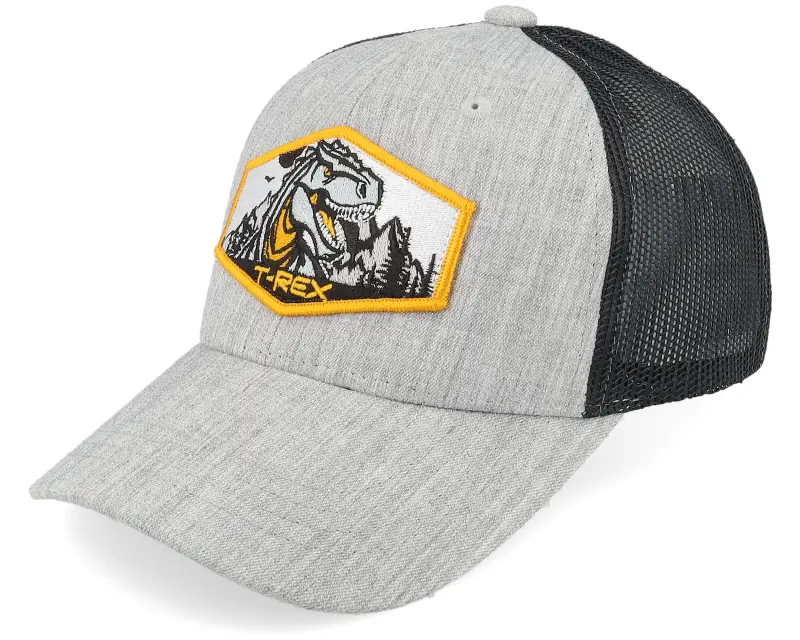 Kiddo Cap Kids T-rex Orange Patch Heather Grey/Black Trucker online