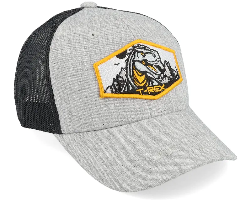 Kiddo Cap Kids T-rex Orange Patch Heather Grey/Black Trucker online