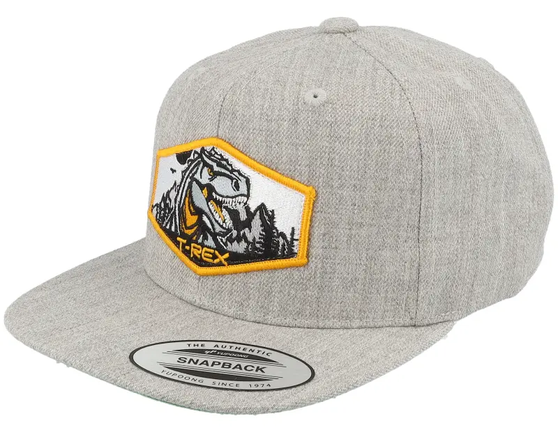 Kiddo Cap Kids T-rex Orange Patch Heather Grey Snapback online