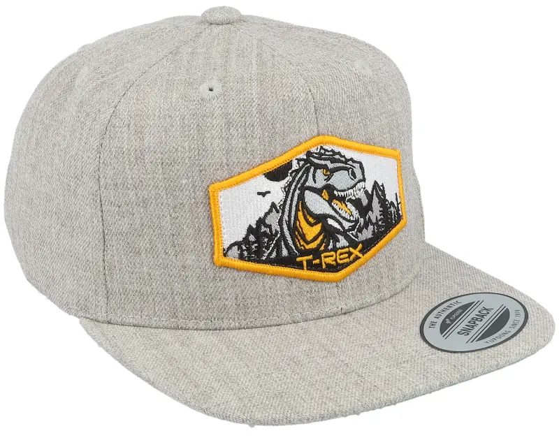 Kiddo Cap Kids T-rex Orange Patch Heather Grey Snapback online