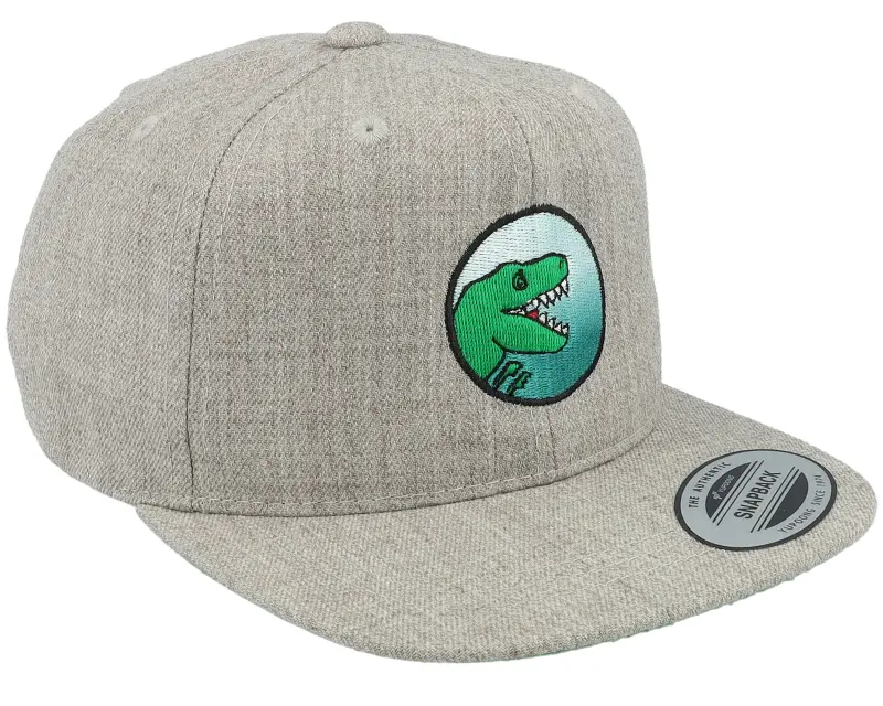Kiddo Cap Kids T-Rex Park Gradient Heather Grey Snapback online
