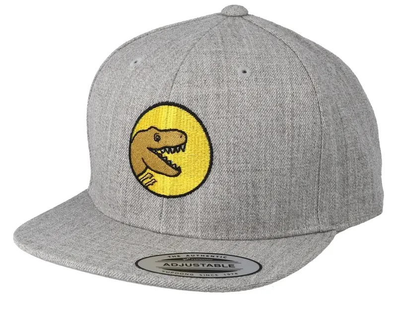 Kiddo Cap Kids T-Rex Park Grey Snapback online