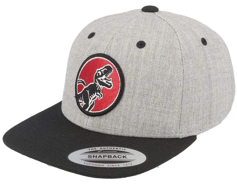 Kiddo Cap Kids T-rex Red Round Patch Heather Grey/Black Snapback online