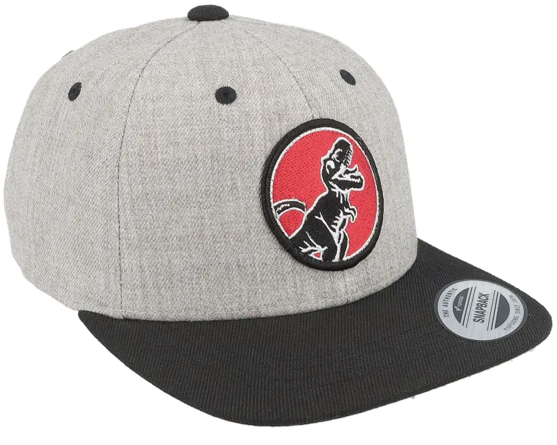 Kiddo Cap Kids T-rex Red Round Patch Heather Grey/Black Snapback online