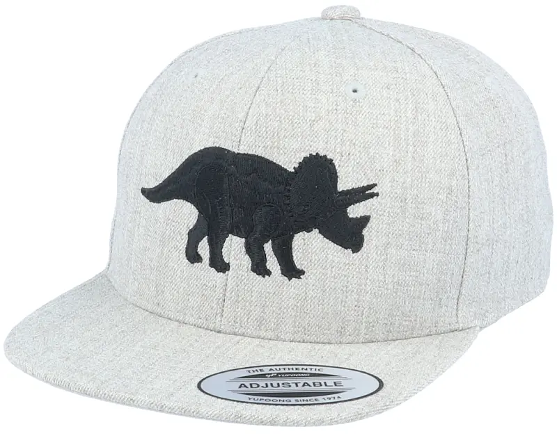 Kiddo Cap Kids Triceratops Heather Grey Snapback online