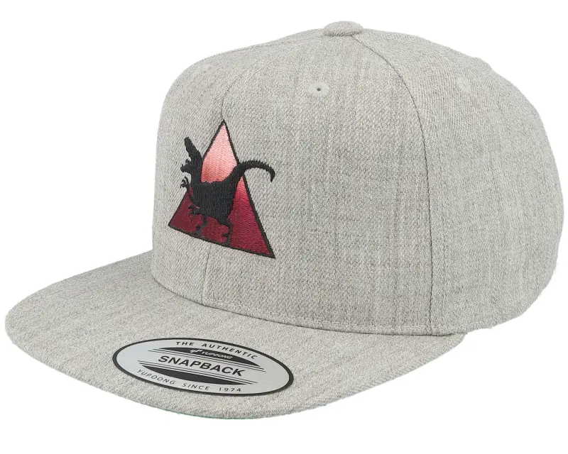 Kiddo Cap Kids Velociraptor Heather Grey Snapback online