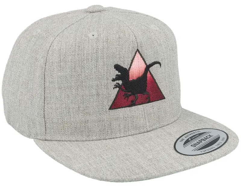 Kiddo Cap Kids Velociraptor Heather Grey Snapback online