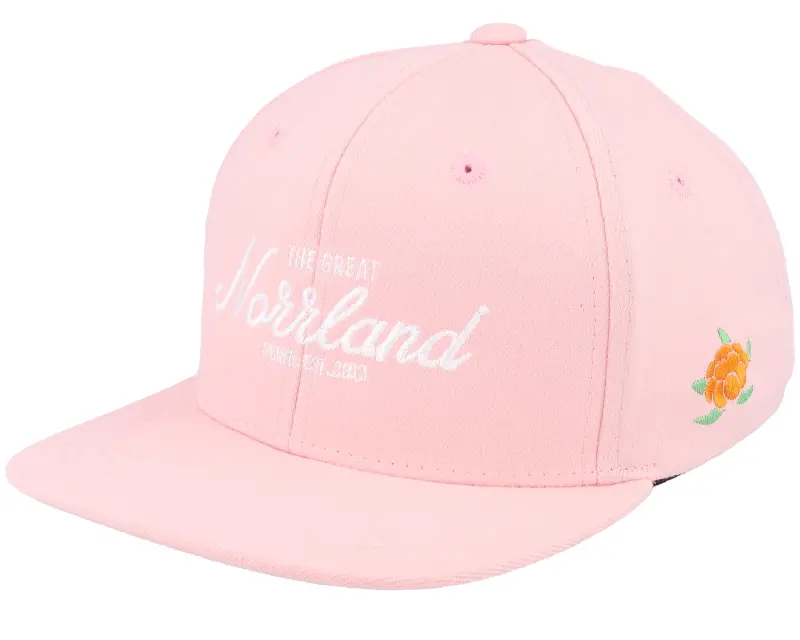 SQRTN Kids The Great Pink Snapback online