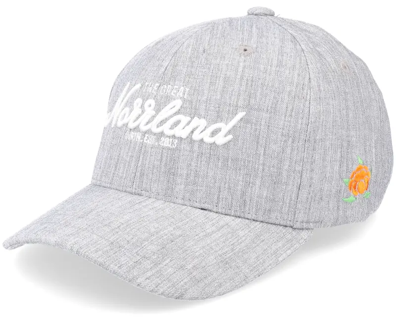 SQRTN Tgn Script Hooked Cap Grey Adjustable online