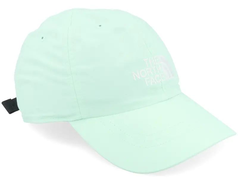The North Face Horizon Hat Dad Cap online