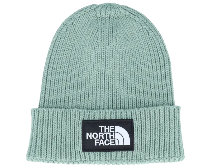 The North Face Kids Tnf Logo Box Slate Moss Cuff online
