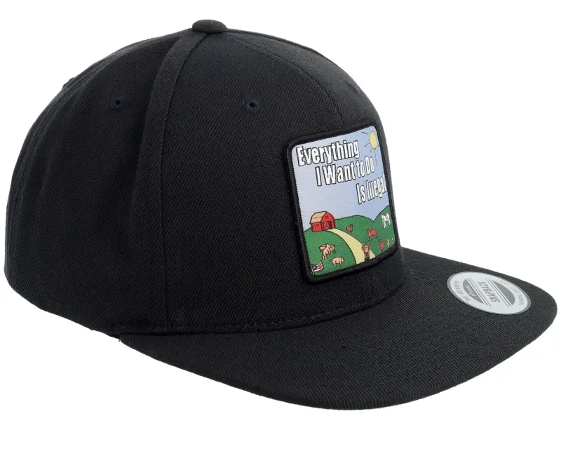 BOOM Just A Jocke Quote Patch Black Snapback online