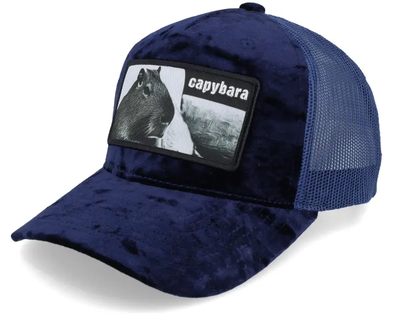 Iconic Capybara Sofa Navy Velvet Trucker online