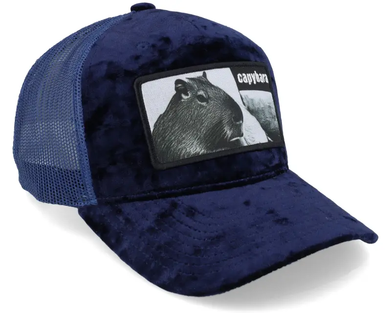 Iconic Capybara Sofa Navy Velvet Trucker online