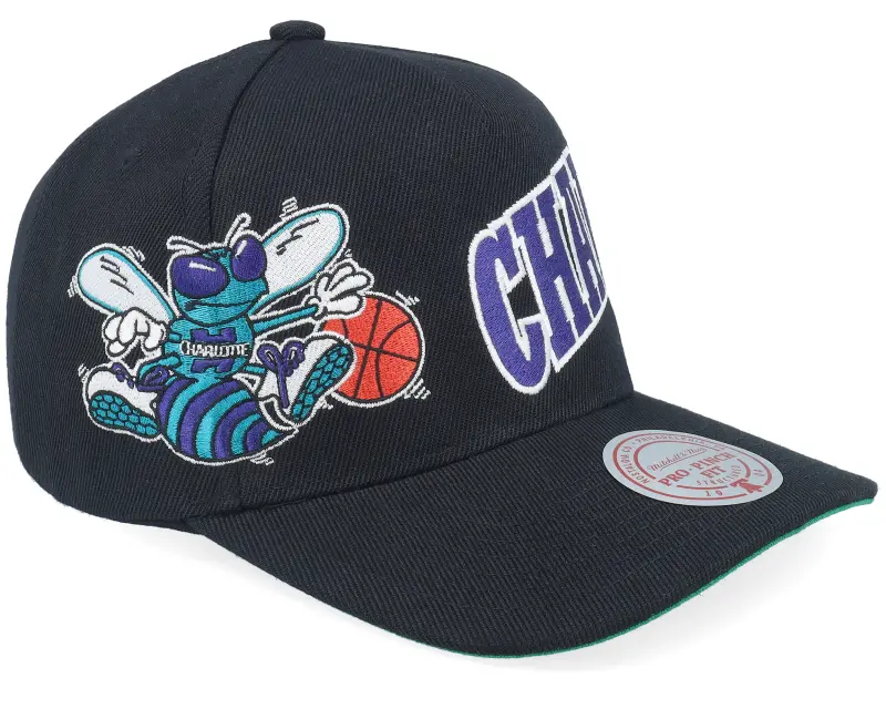 Mitchell & Ness Charlotte Hornets Busted Pro Hwc Black A-Frame Adjustable online