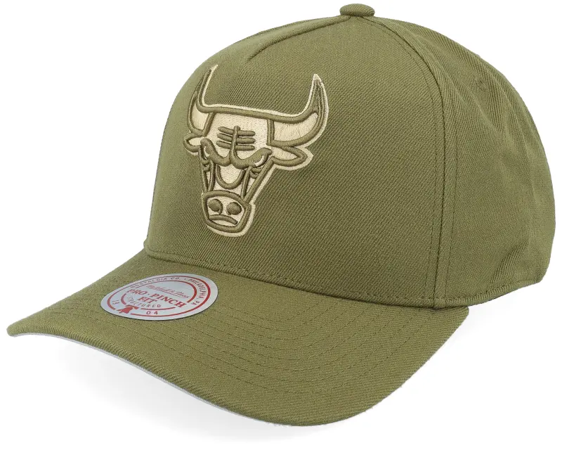Mitchell & Ness Chicago Bulls Fashion Basic Pro Olive A-Frame Adjustable online