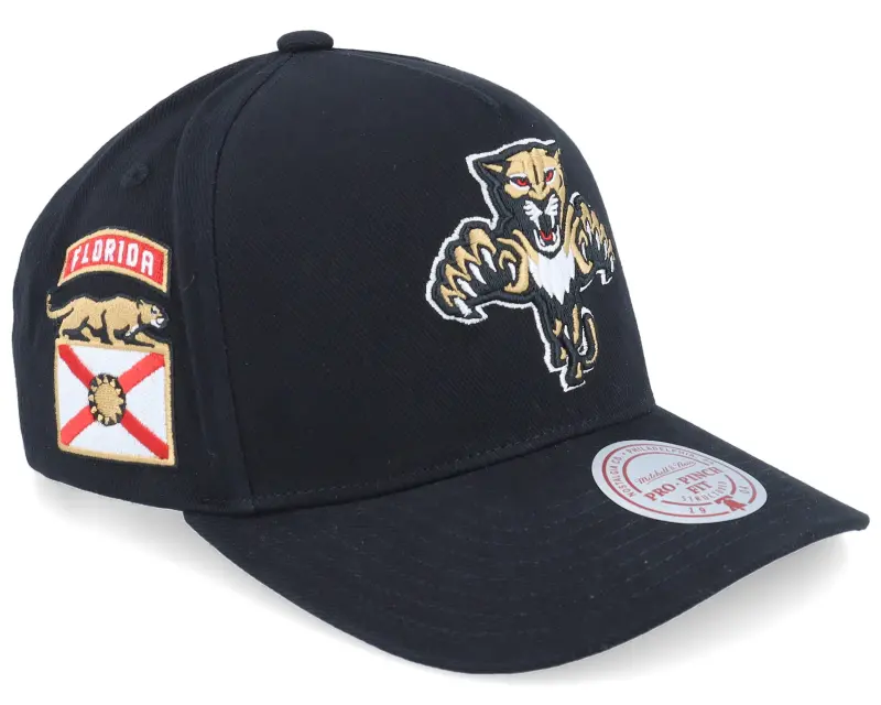 Mitchell & Ness Hatstore Exclusive x Florida Panthers Black Pro Crown A-frame Adjustable online