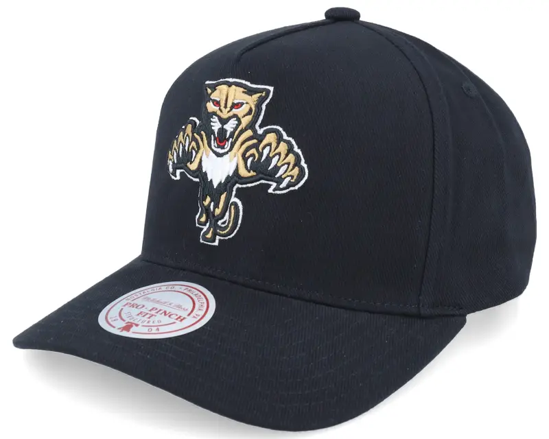Mitchell & Ness Hatstore Exclusive x Florida Panthers Black Pro Crown A-frame Adjustable online