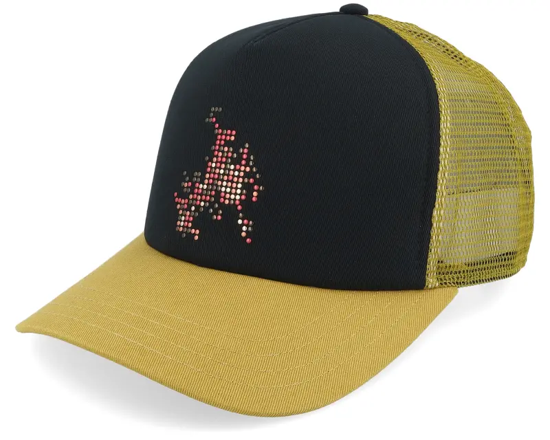 Vans Skate Flame Black/Burnt Gold A-Frame Trucker online