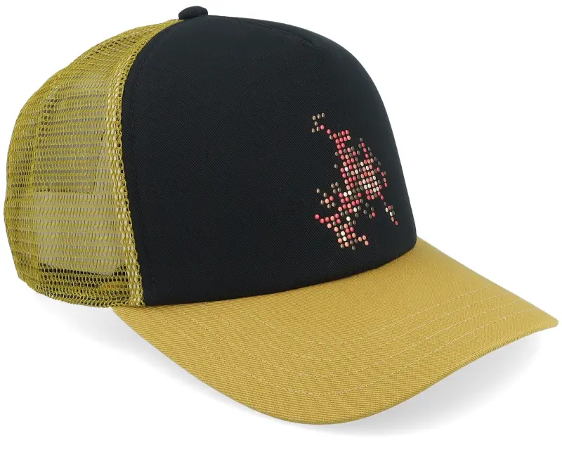 Vans Skate Flame Black/Burnt Gold A-Frame Trucker online