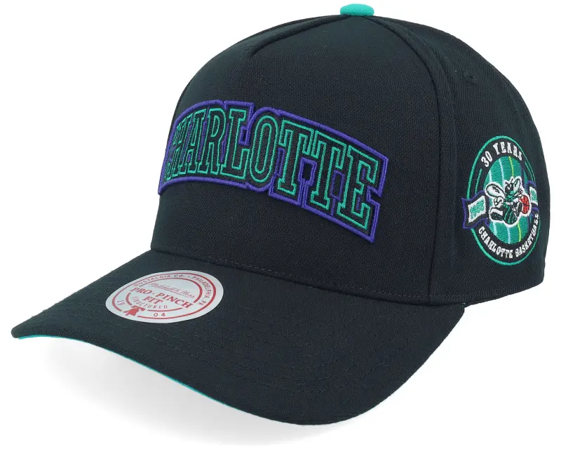 Mitchell & Ness Charlotte Hornets Class Act Pro Hwc Black A-Frame Adjustable online