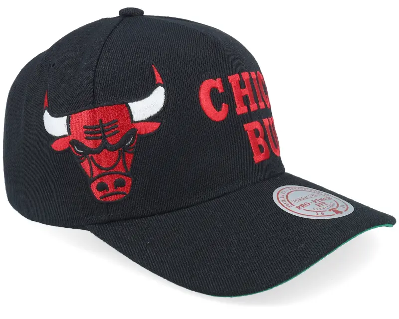 Mitchell & Ness Chicago Bulls Busted Pro Black A-frame Adjustable online