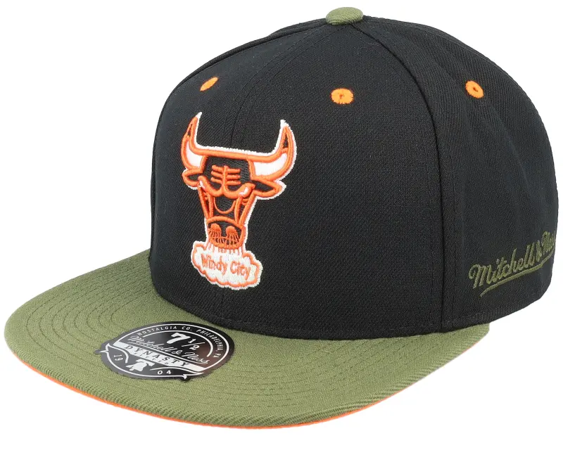 Mitchell & Ness Chicago Bulls Take Flight Black/Green Fitted online
