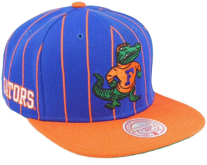 Mitchell & Ness Florida Gators Team Pin Blue/Orange Snapback online