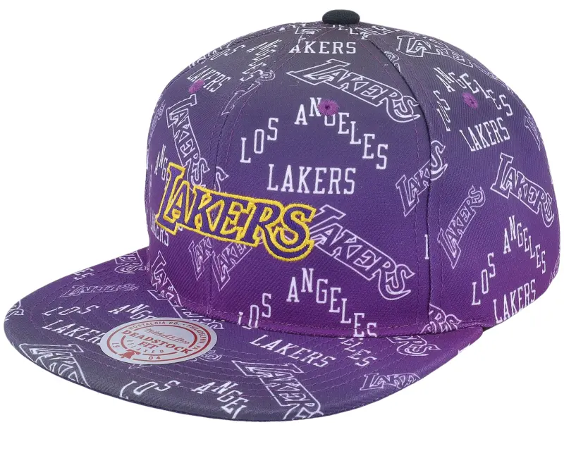 Mitchell & Ness Los Angeles Lakers Destination Leisure Deadstock Purple Snapback online