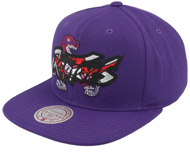 Mitchell & Ness Toronto Raptors Double Up Purple Snapback online