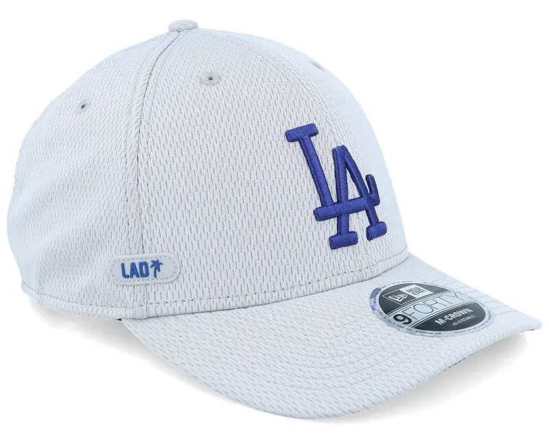 New Era Los Angeles Dodgers MLB Ch 9FORTY Grey Adjustable online