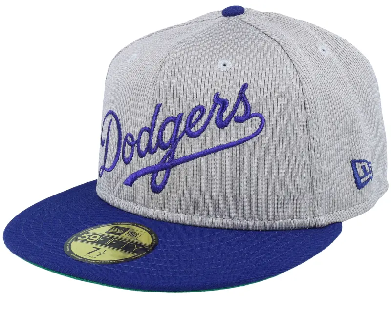 New Era Los Angeles Dodgers Pivot Mesh Crown Grey/Royal Fitted online
