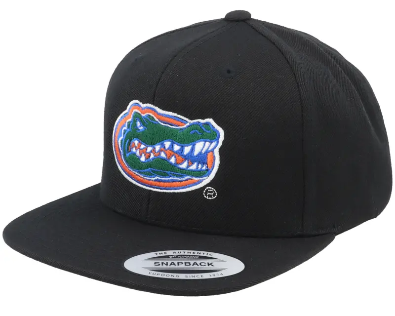 Park Fields Florida Gators Logo Black Snapback online