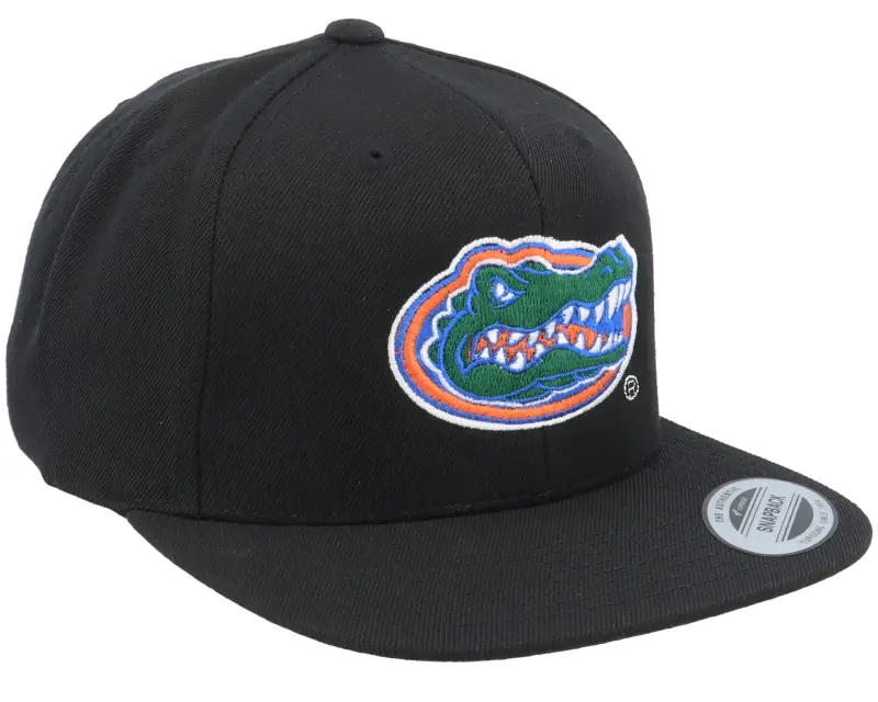 Park Fields Florida Gators Logo Black Snapback online