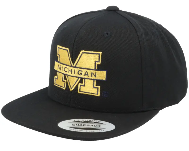 Park Fields Michigan Wolverines Logo Black Snapback online