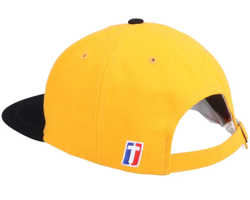 Twins Enterprise Michigan Wolverines Michigan Oval College Vintage Yellow/Black Snapback online